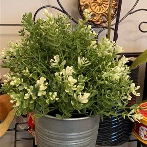 Meet your Posher, Kelli